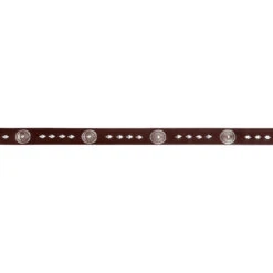 Wrangler Leather & Concho Women's Belt -Western Cowboy Equipment Store 38e3efd36094349d902e5b1129875597