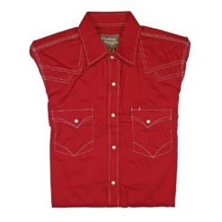 Cowboy Collection Men's Stitch Accent Shirt